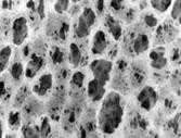 4330-01-142-8317 Photo
